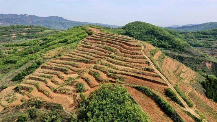 141615735924326114.jpeg 微信图片_20210314235539.jpg