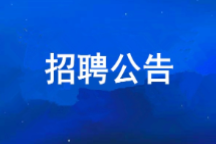 一号娱乐集团有限公司2026年度公开招聘公告