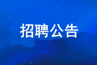 一号娱乐集团有限公司 2025年度公开招聘公告
